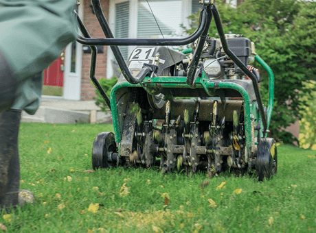 Professional lawn aeration and overseeding in Williamsville and Amherst NY