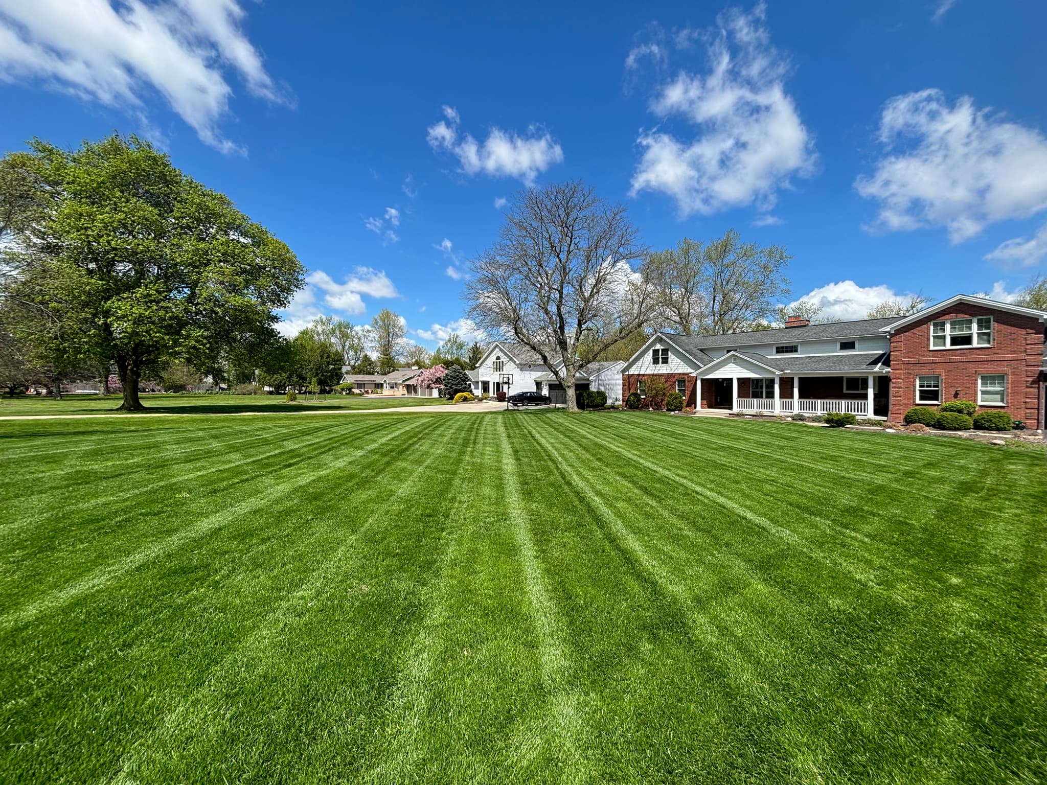 Pristine lawn care and landscape maintenance in Williamsville and Amherst