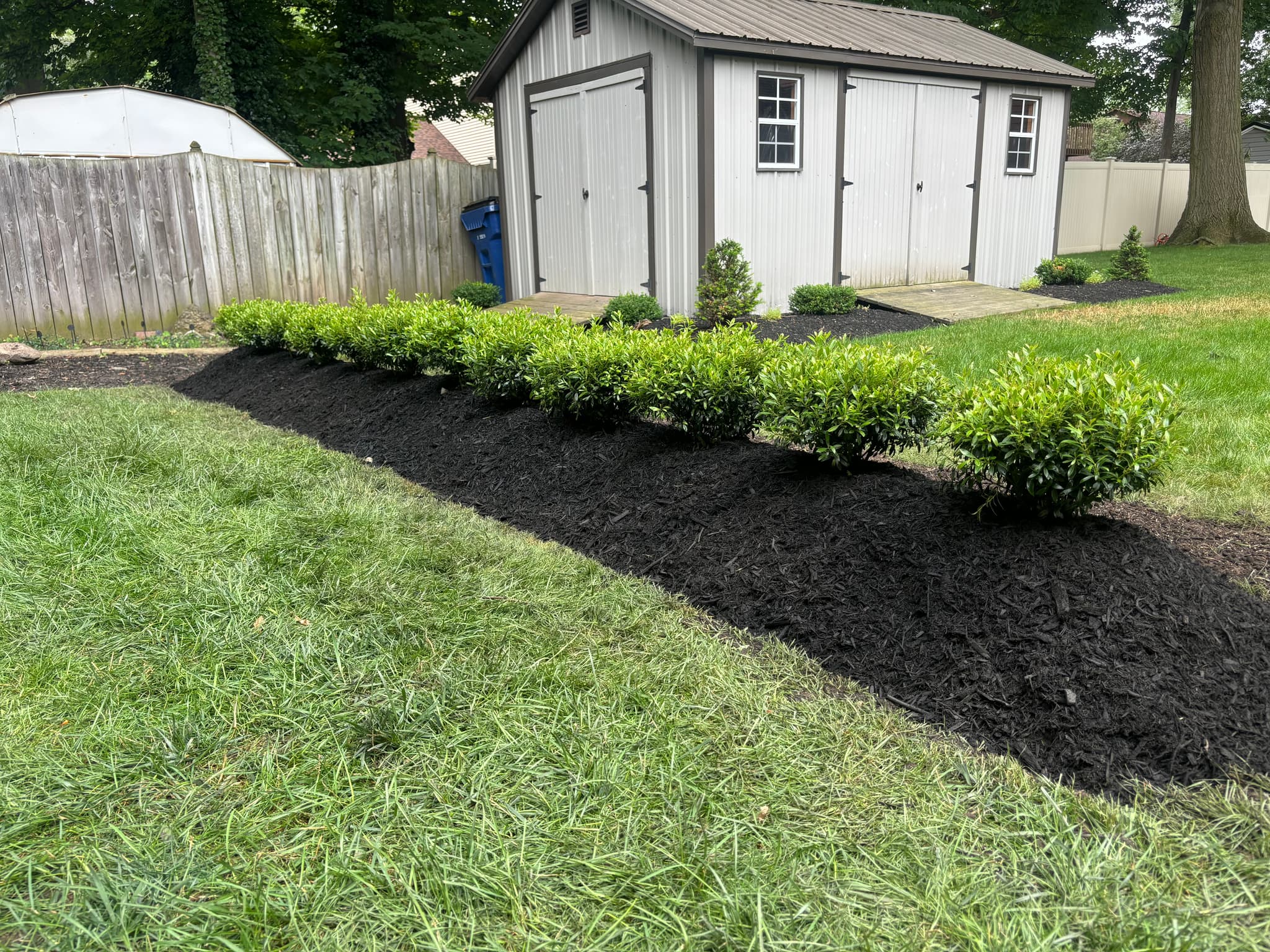 Professional lawn care and curb appeal