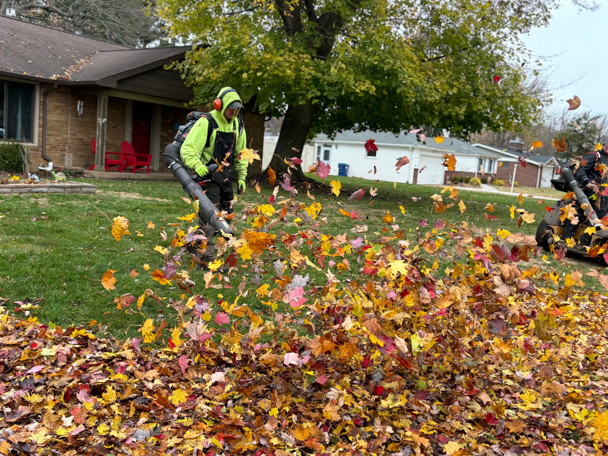 Professional fall leaf removal service