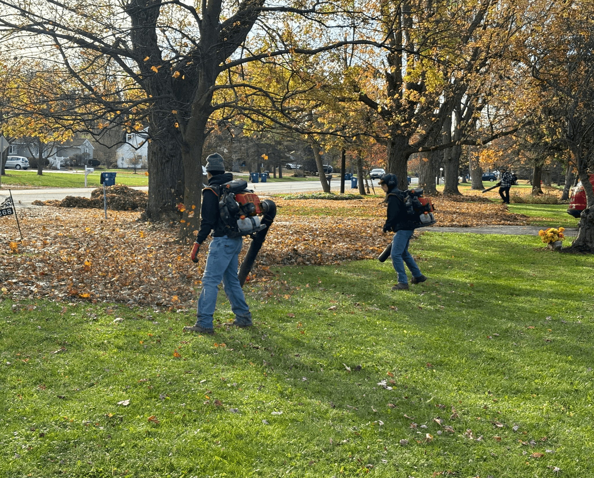 Professional spring cleanup in Williamsville and Amherst NY