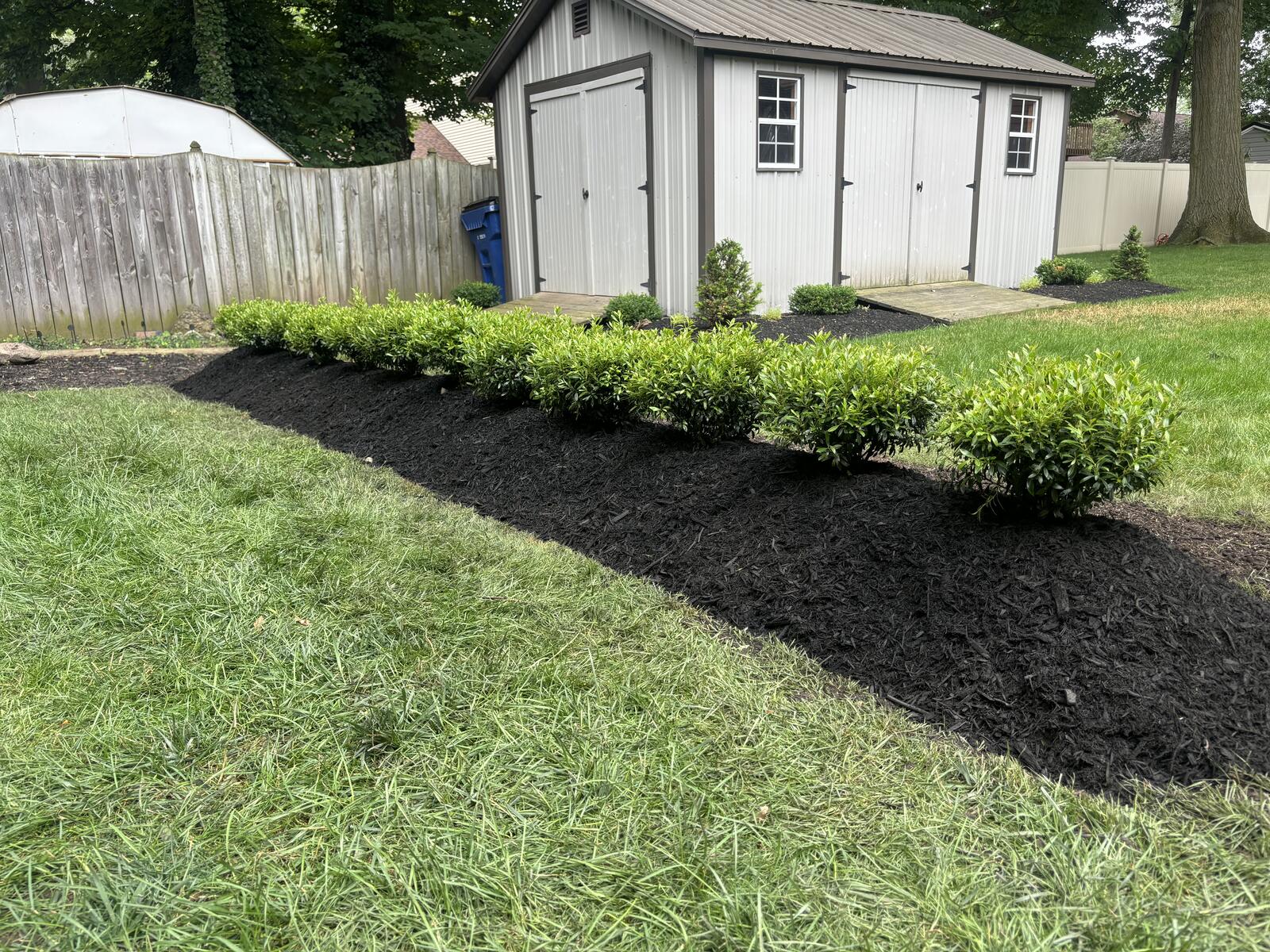 Professional lawn care and curb appeal