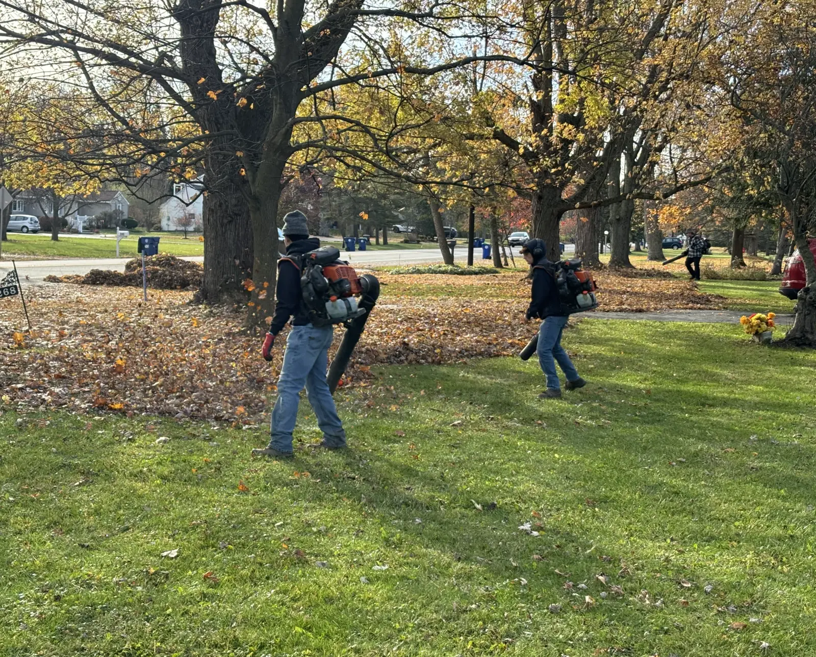 Spring Cleanup