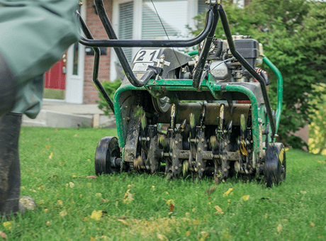 Aeration & Overseeding